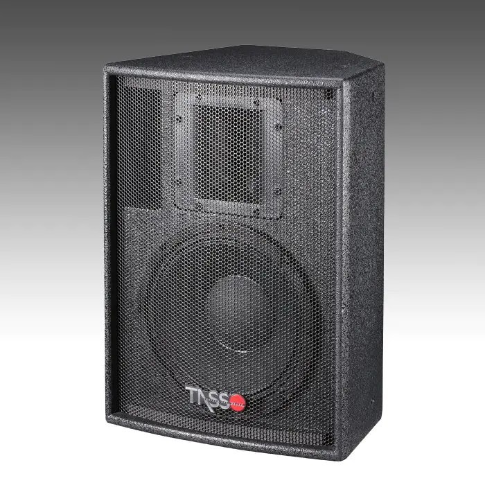 CT100 — Big Power Installation Speaker CT100