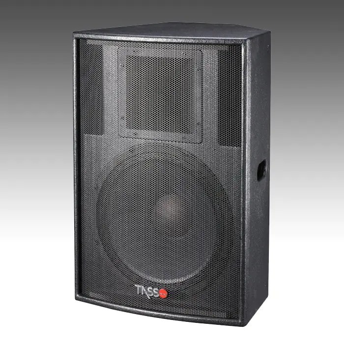 CT500 — Big Power Installation Speaker CT500