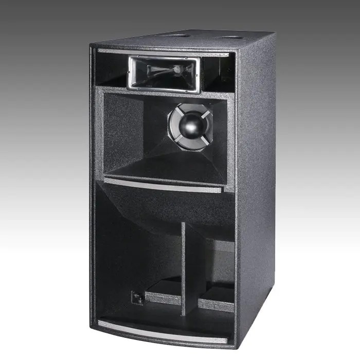 CT1000 — Big Power Installation Speaker CT1000