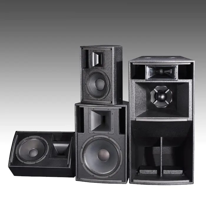 CT300 — Big Power Installation Speaker CT300