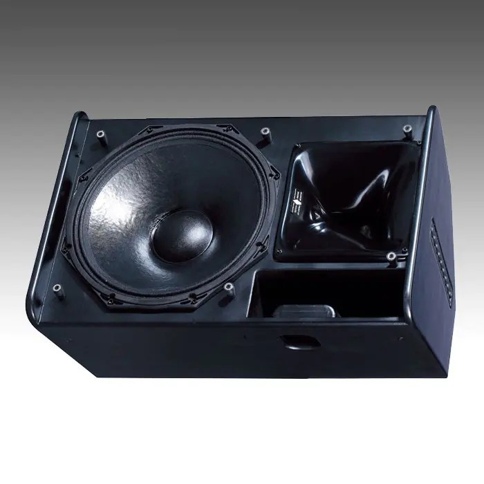 PS15 — Stage Monitor PS15