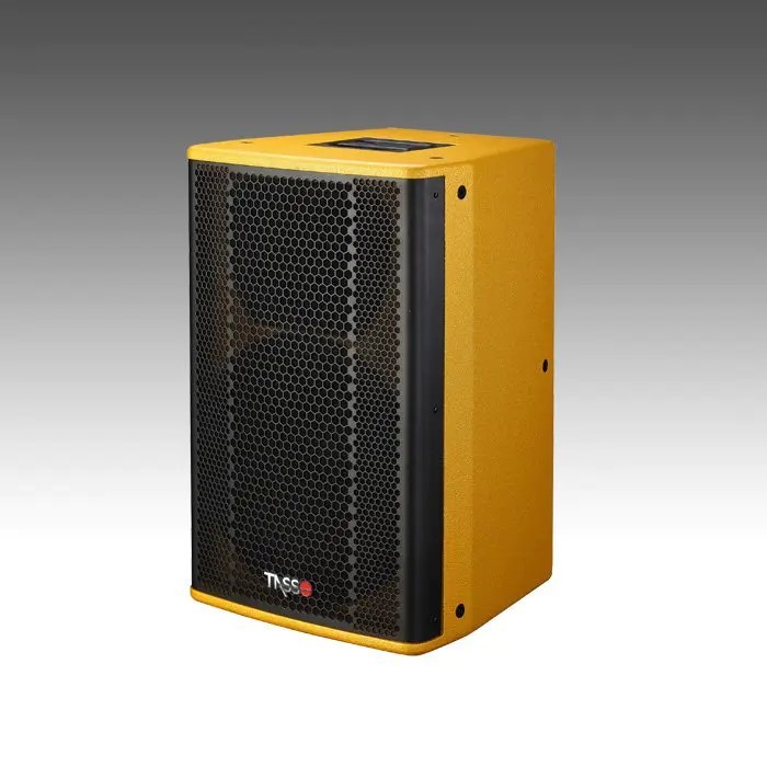 KV15 — 15 Inch 2-Way Full Range Loudspeaker System KV15
