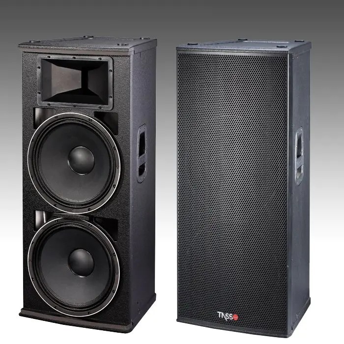 PSA25 — Active 2x15" Speaker PSA25