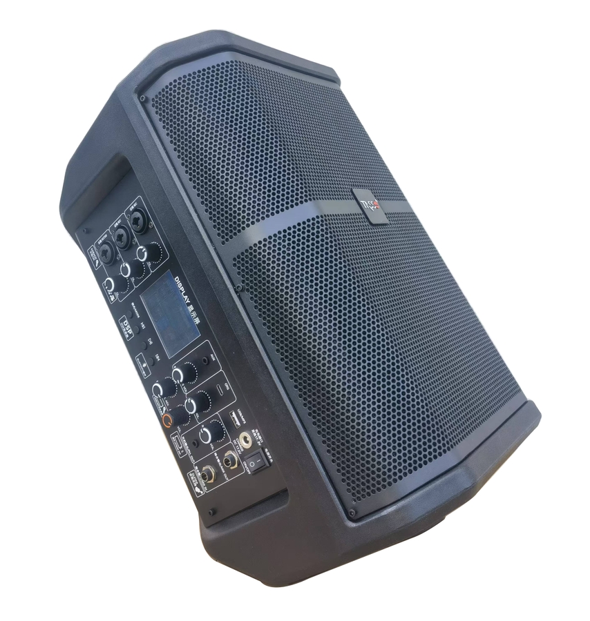 M8+ — M8+ Portable Bluetooth Active Speaker