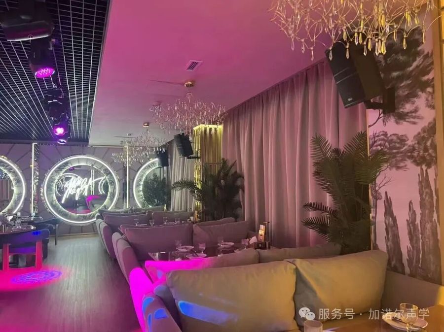 From Guangzhou to Almaty: Tasso EP Series Products Land at a Trendy Bar in Kazakhstan — photograph 4